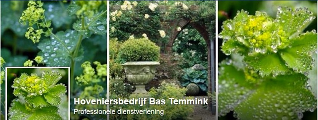 bastemmink (640x243)